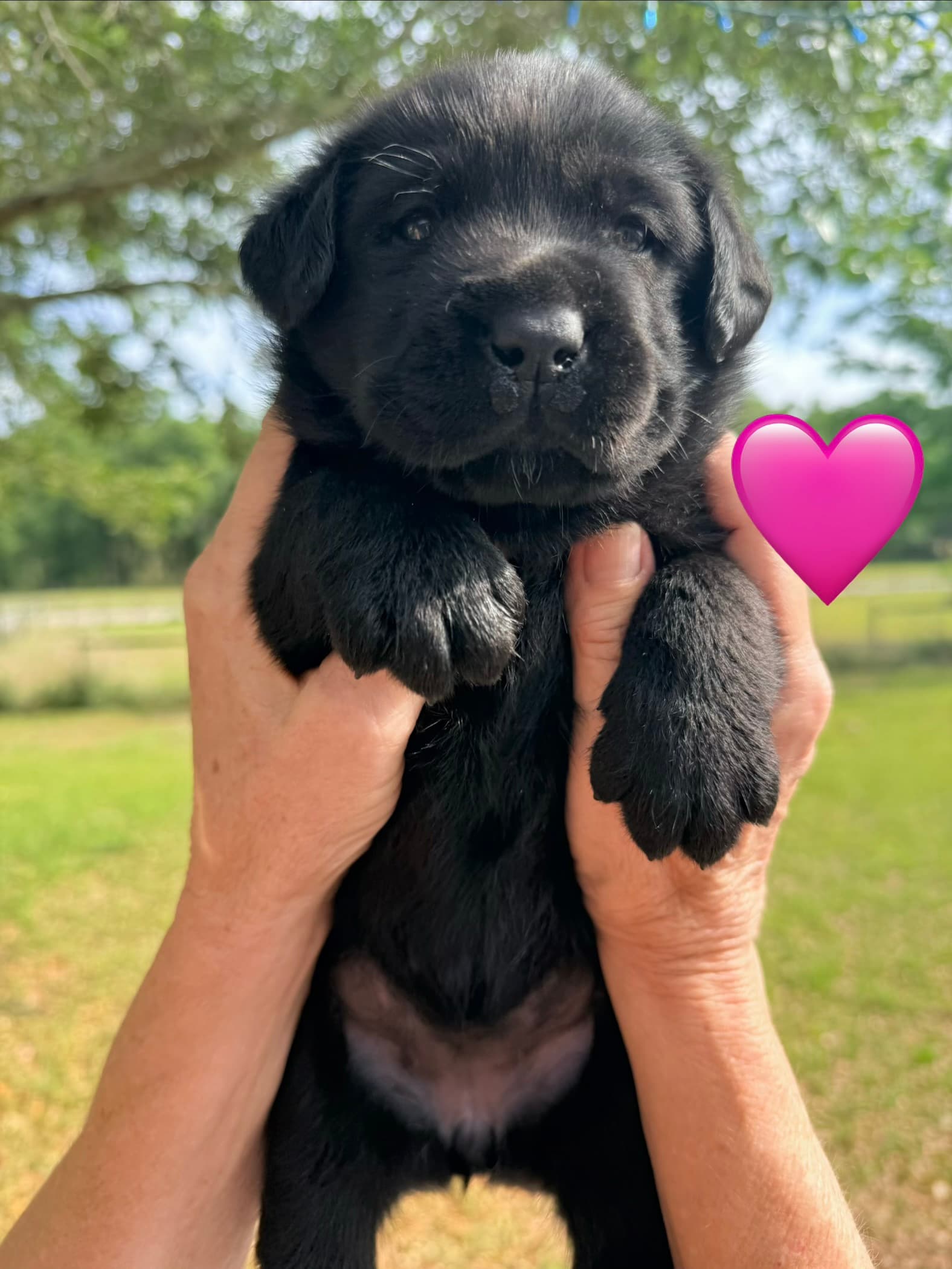 4weeks