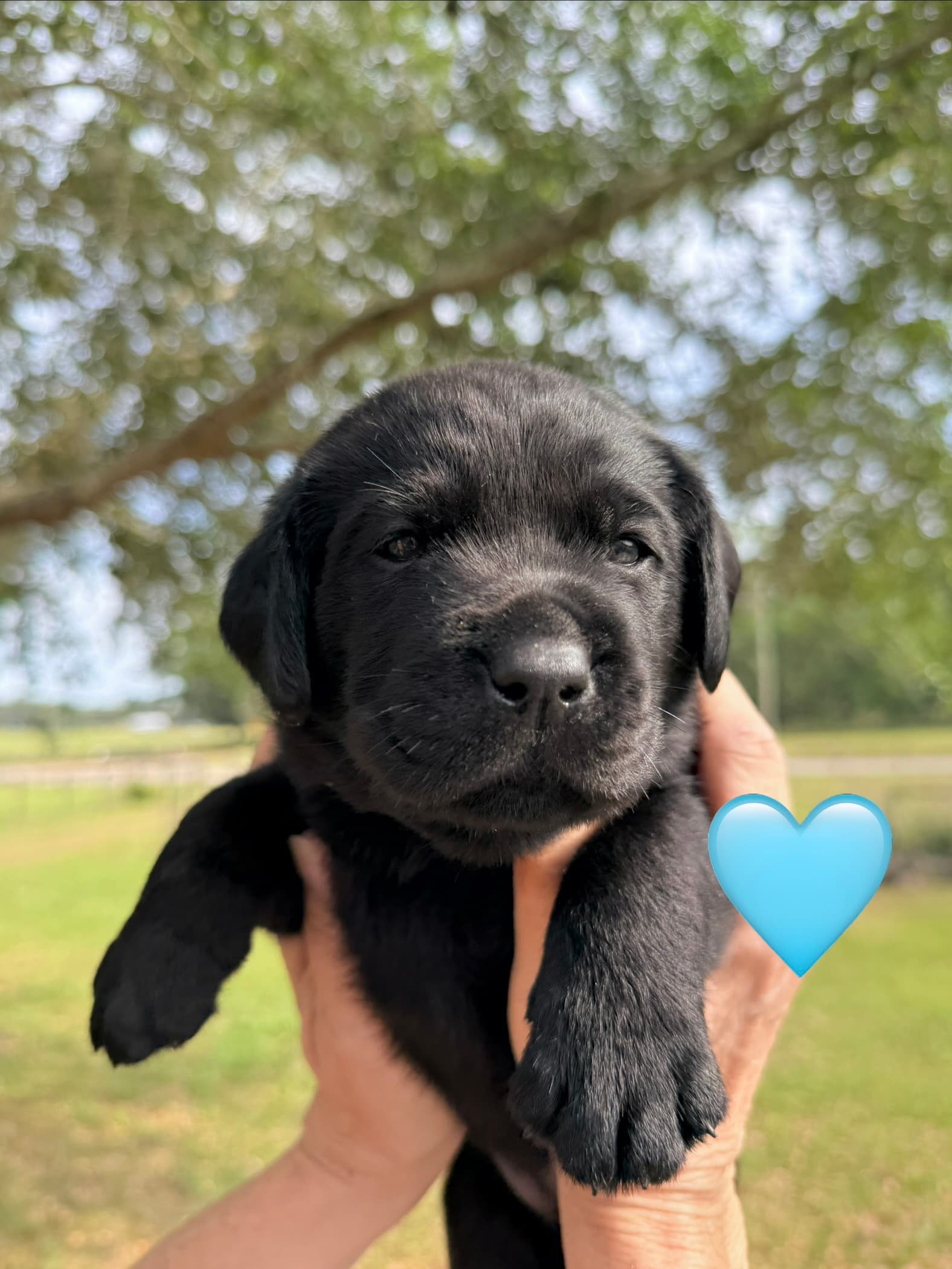 4weeks