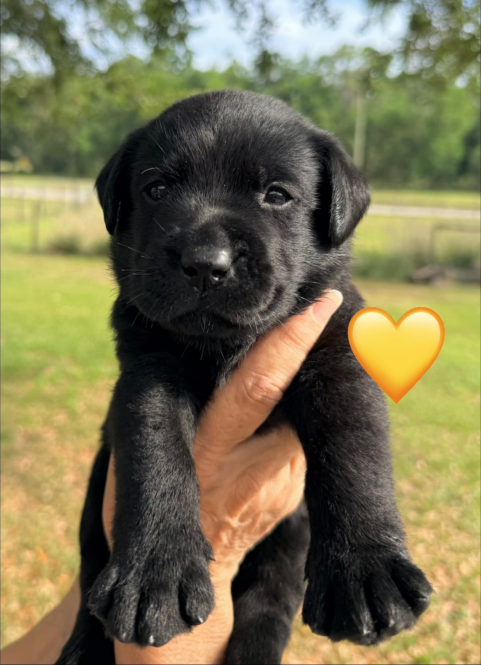 4weeks