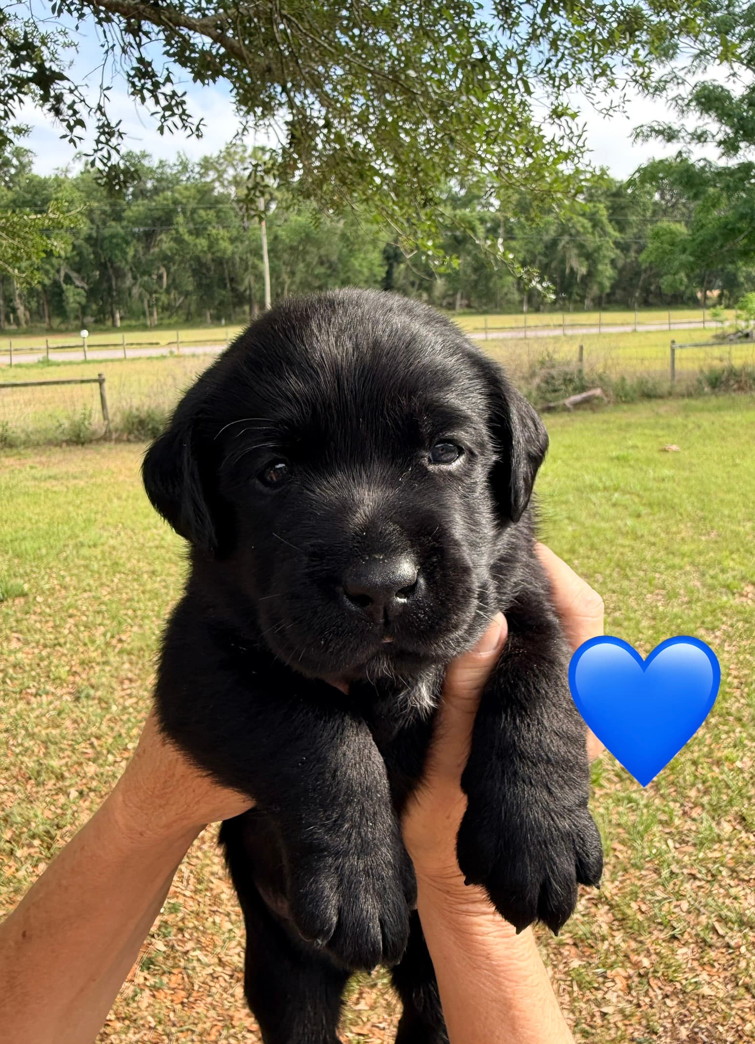 4Weeks