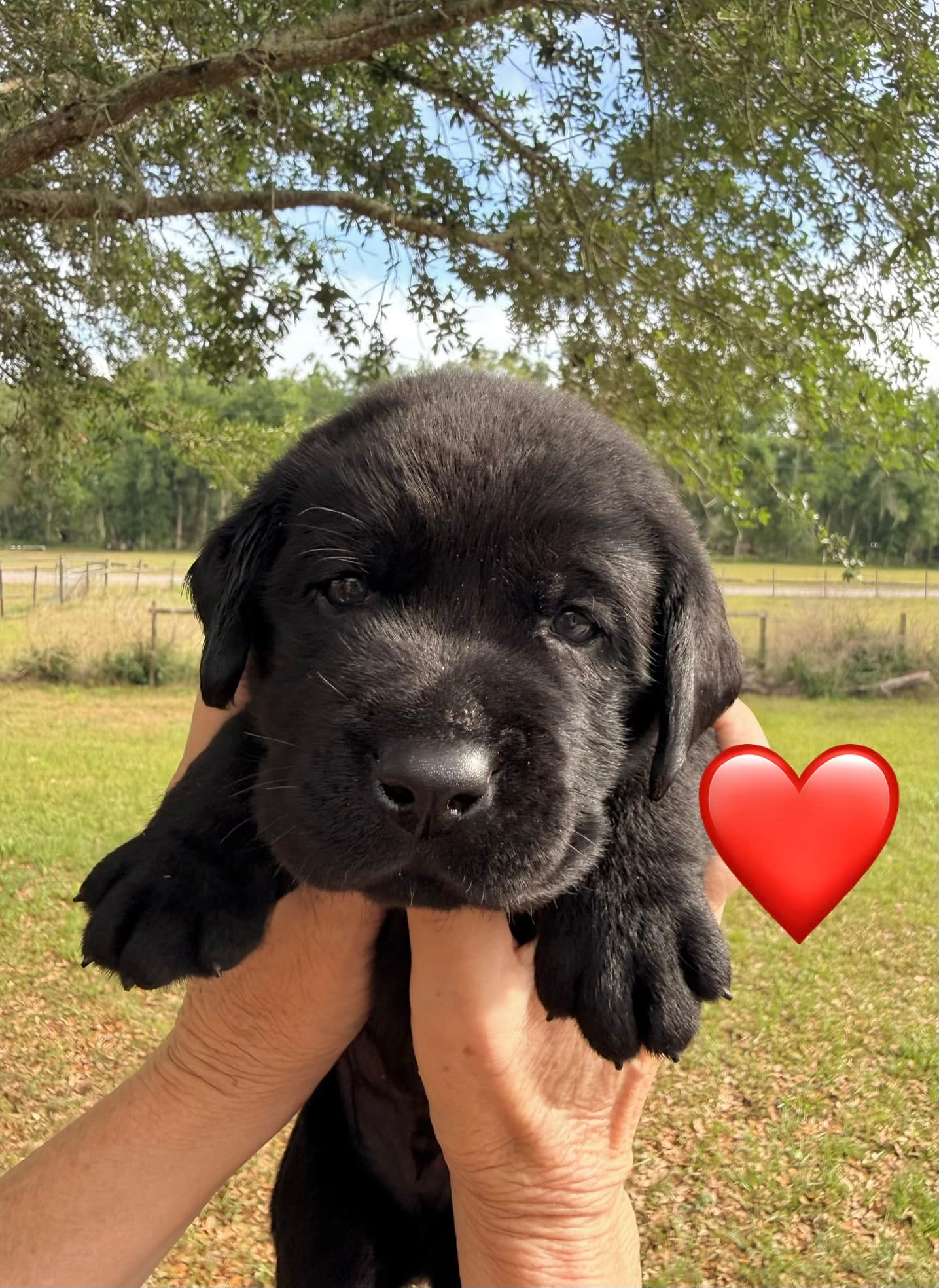 4Weeks
