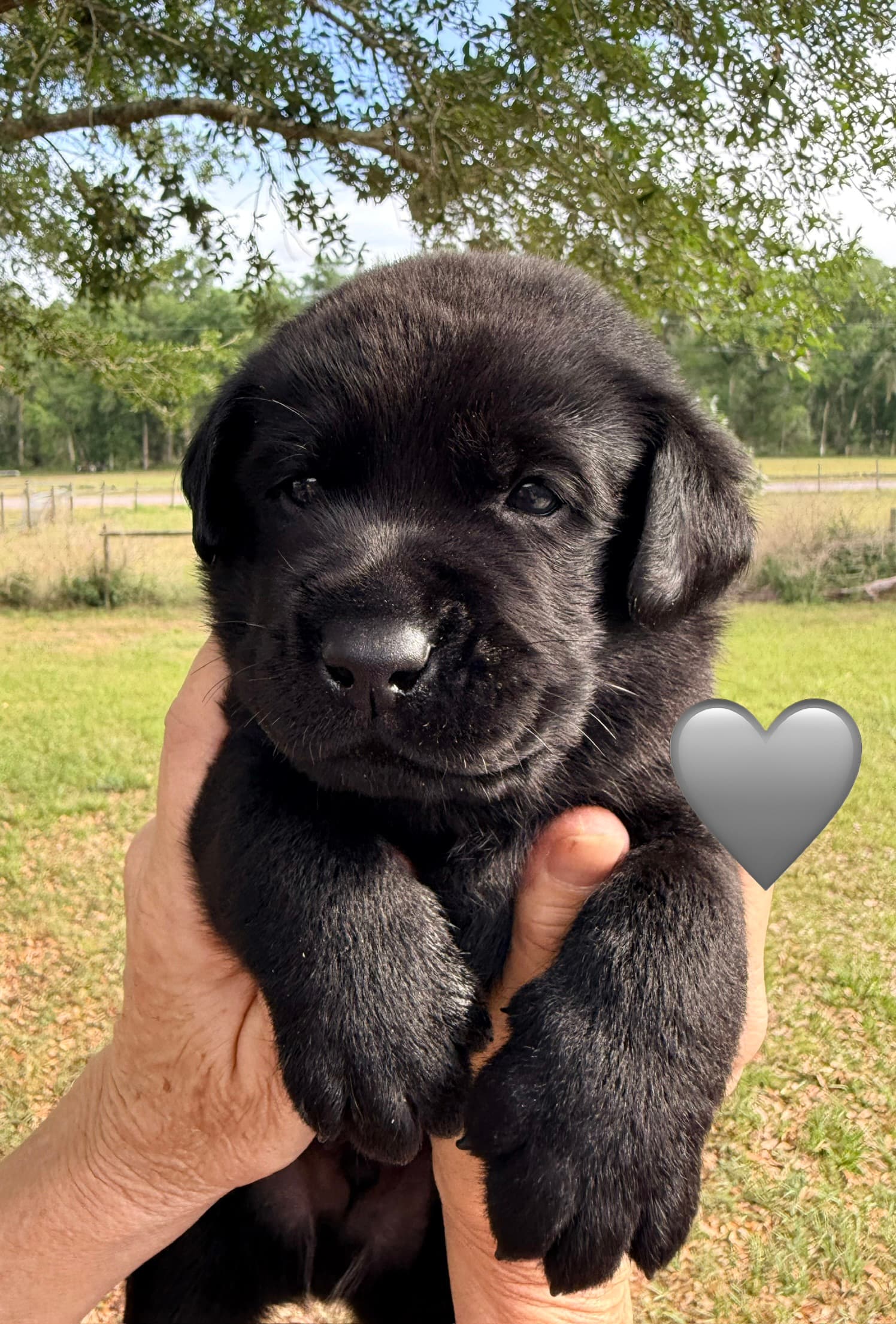 4weeks