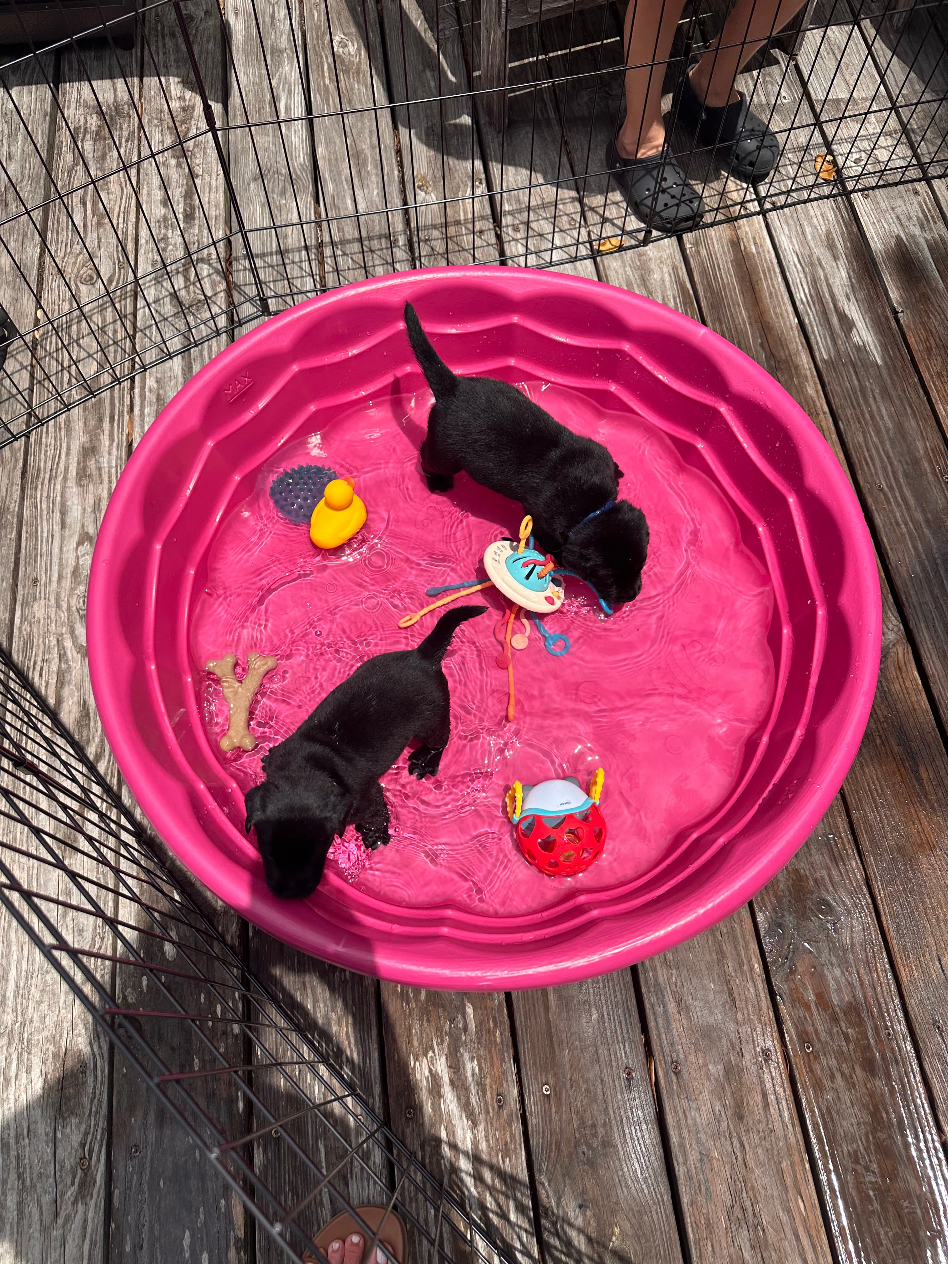 Splashtime