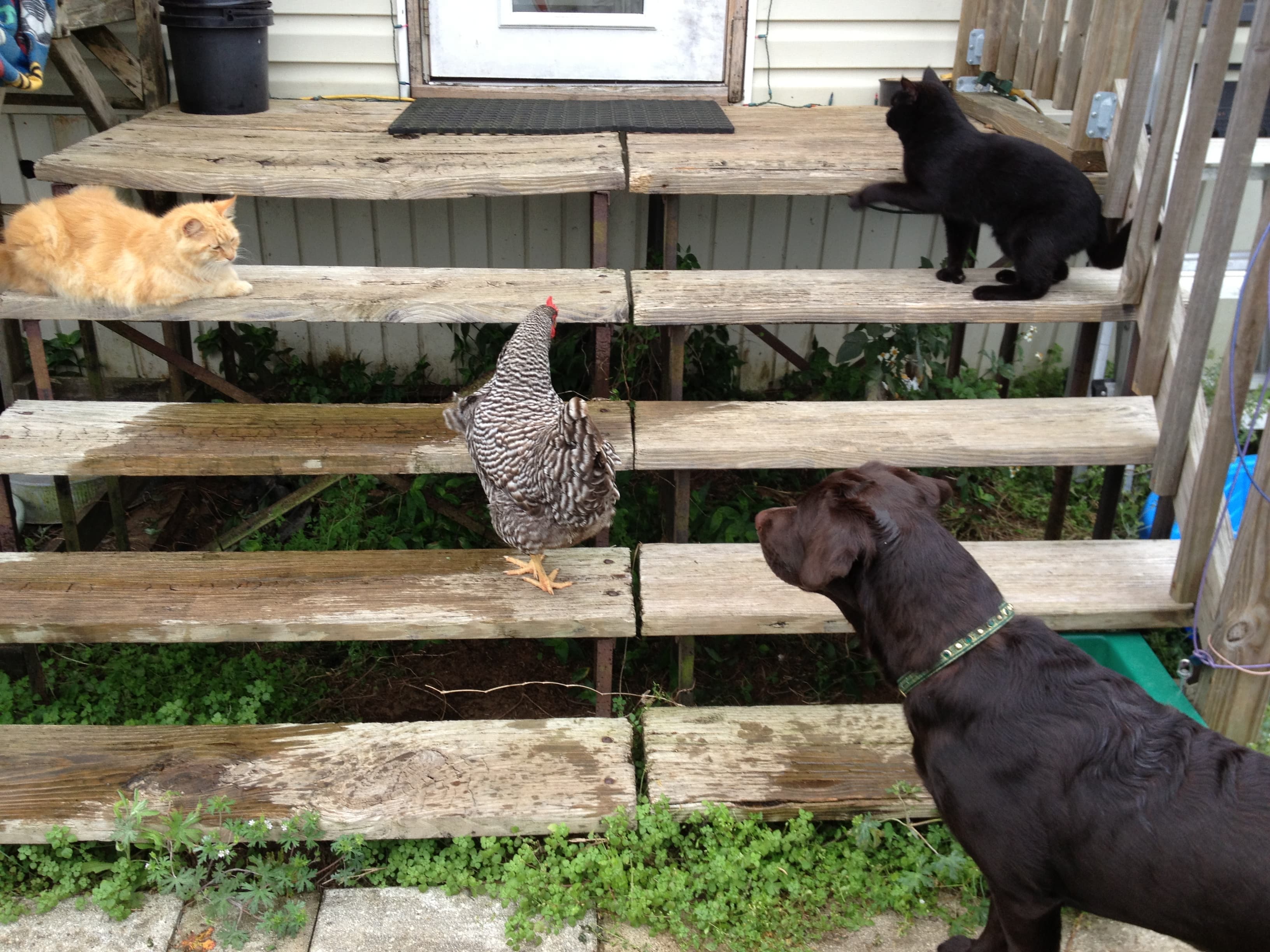 Getting Along